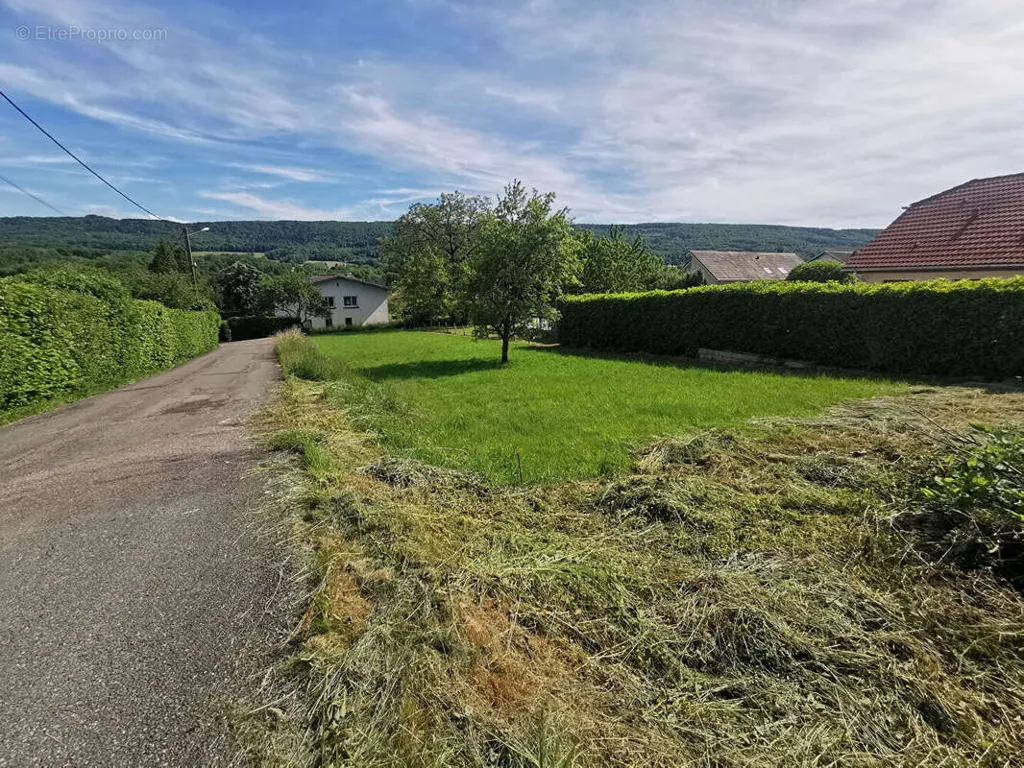Terrain à Blamont