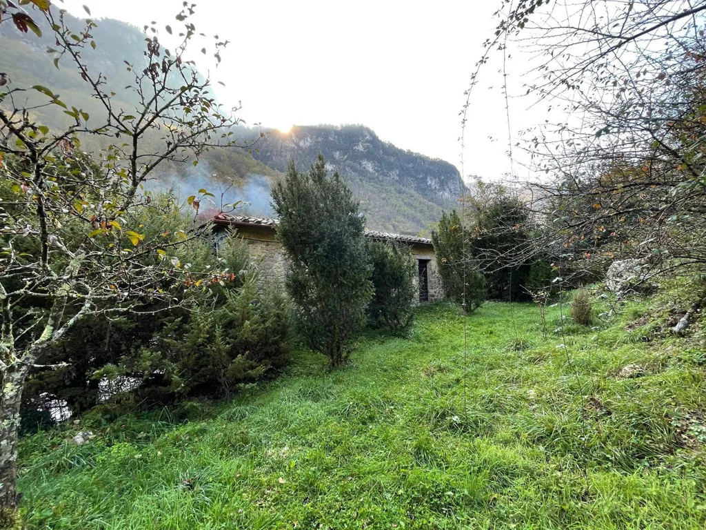 Aed - Rustic Farmhouse with Land in Vergemoli
