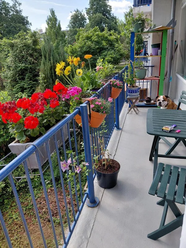Rõdu - Apartment with Balcony in Amsterdam Zuid