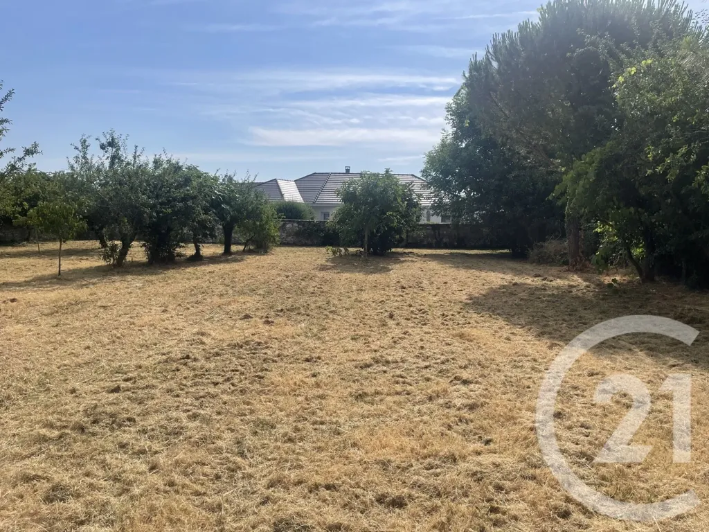 Giardino - Spacious Villa with Garden in Châtellerault