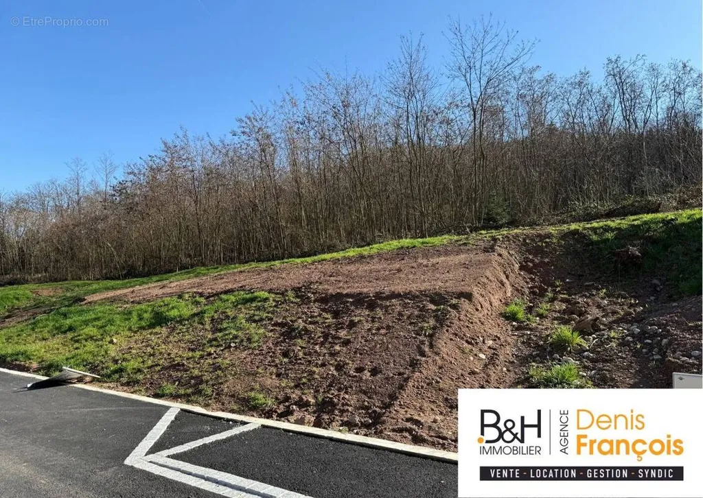 Aed - Viabilised Plot in Katzenthal near Colmar