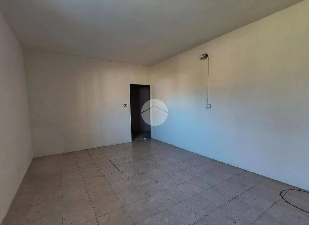 Toad - Rented Apartment with Balcony in Cervere