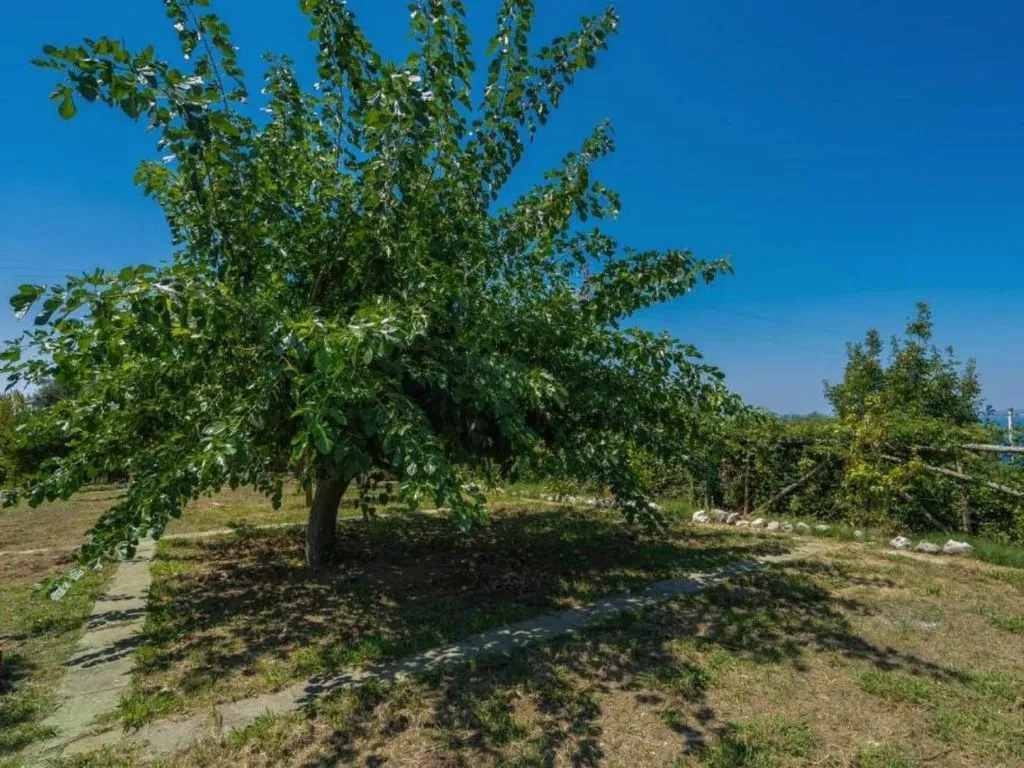 Jardin - Historic Villa with Sea View in Vico Equense