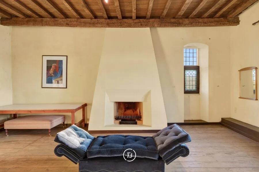 Elutuba - Charming Castle House with Pool near Hasselt