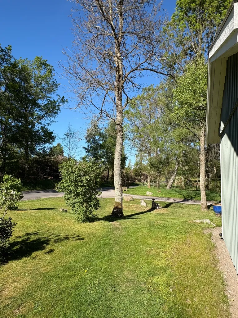 Jardin - Single-Storey House with Garden by Ringsjön
