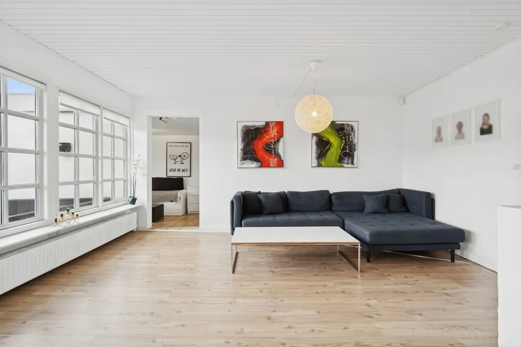 Séjour - Villa with South-Facing Garden in Odense