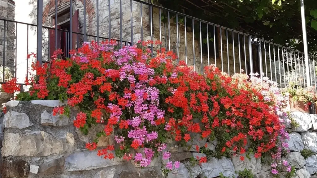 Extérieur - Thirteenth-Century Rustico with Garden in Vaiano