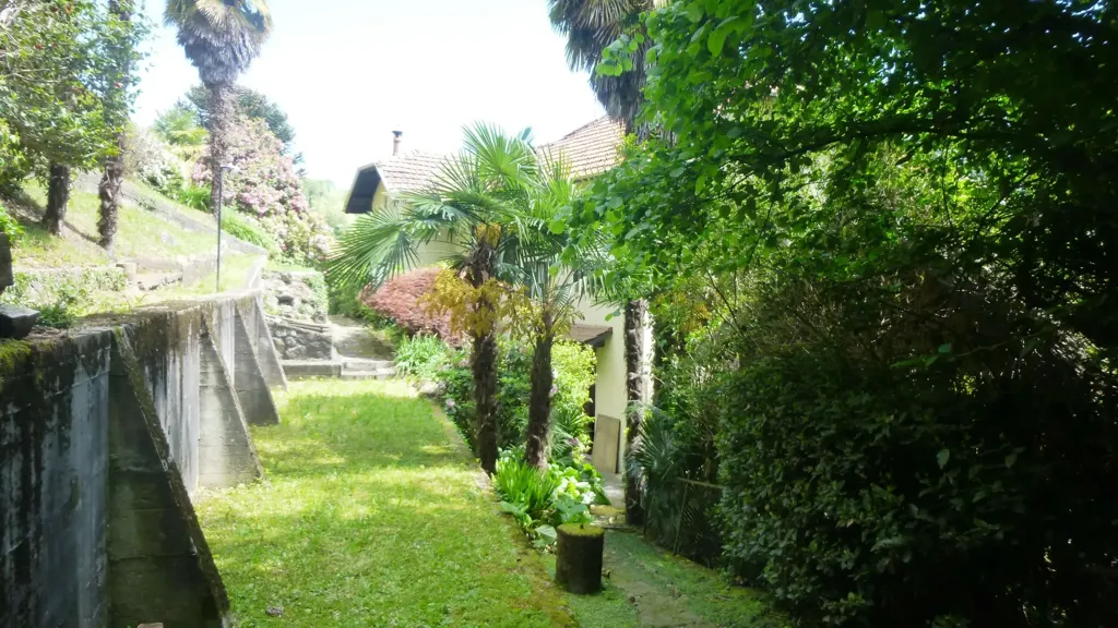 garden