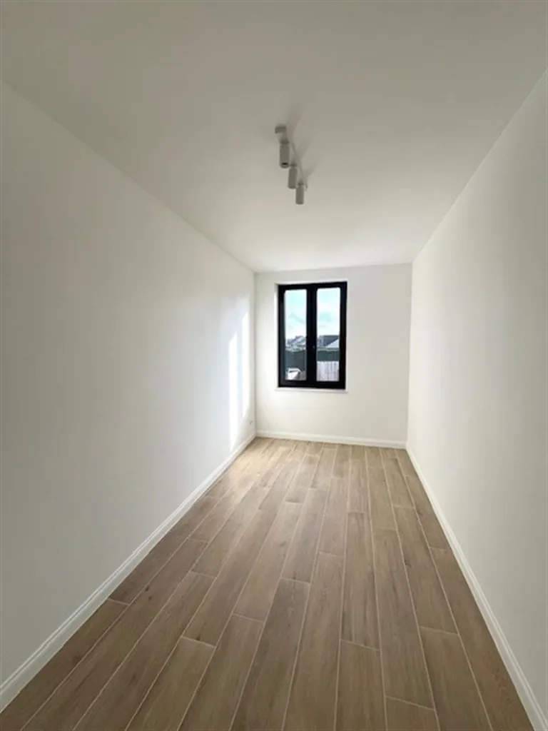 Toad - Newly Built House with Garden in Grobbendonk
