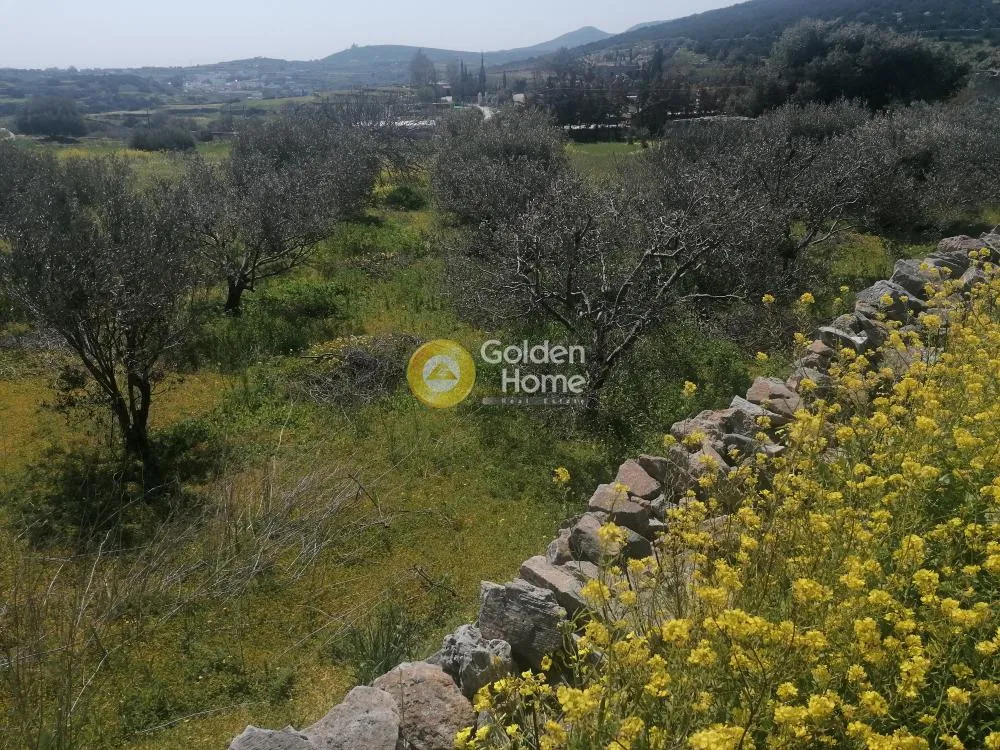 Aed - Plot with Unrestricted View in Syros - Piskopi