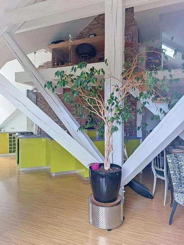 Séjour - Loft avec Terrasse à Saint-Égrève