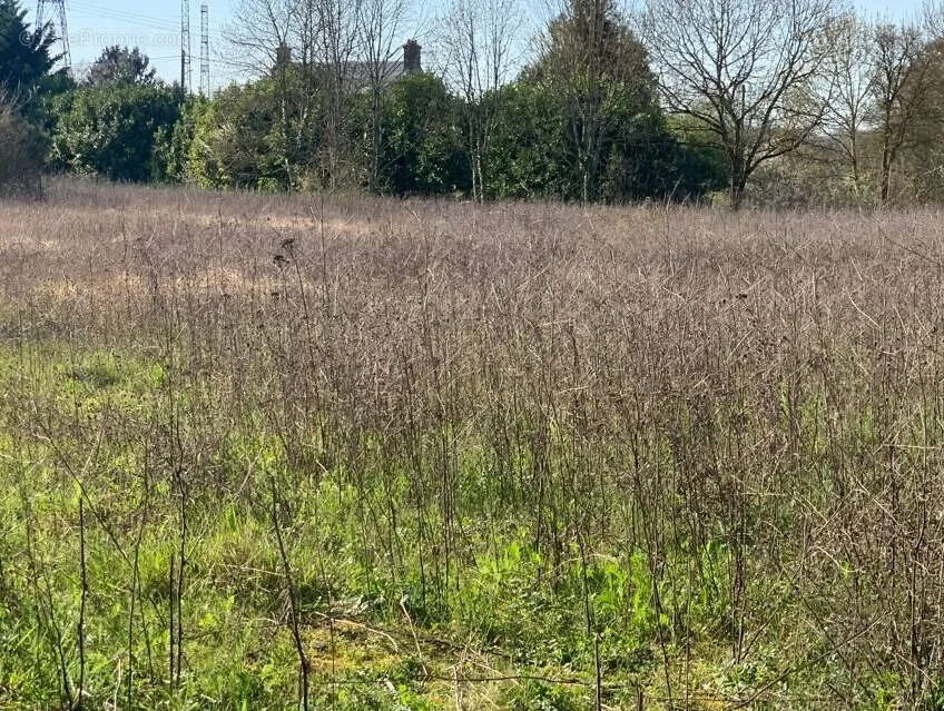 Aed - Viabilised Plot in La Forêt-le-Roi