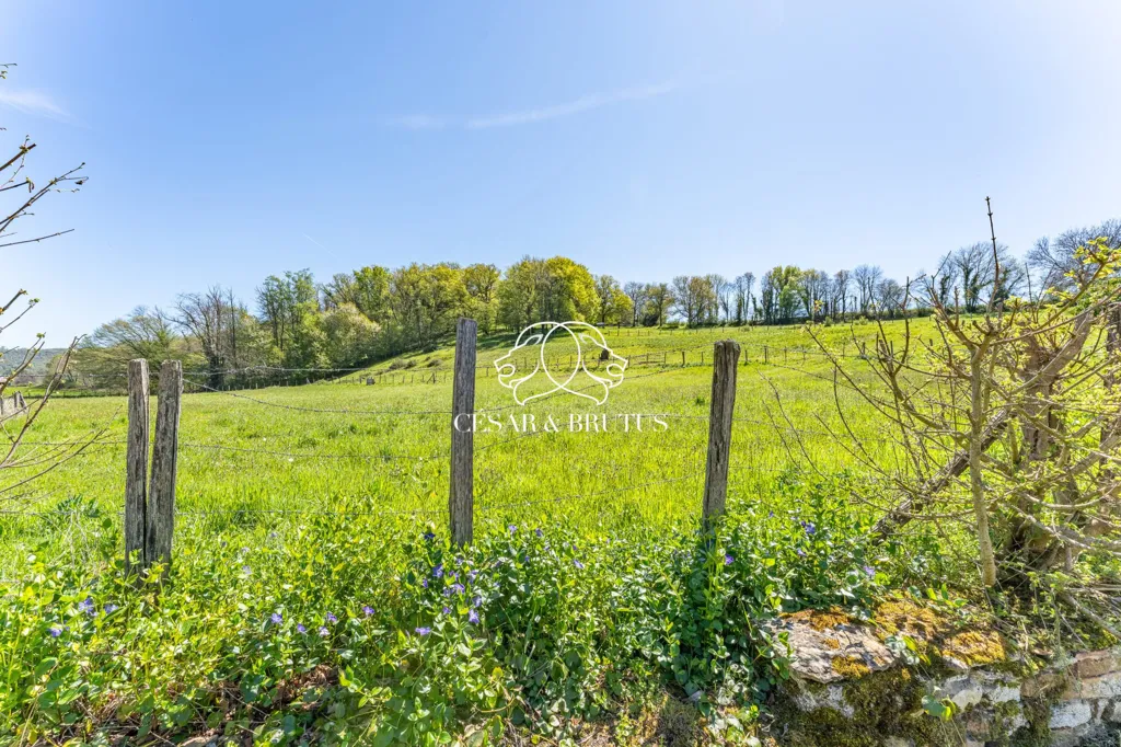 Aed - Renovated Stone House with Pool in Chozeau