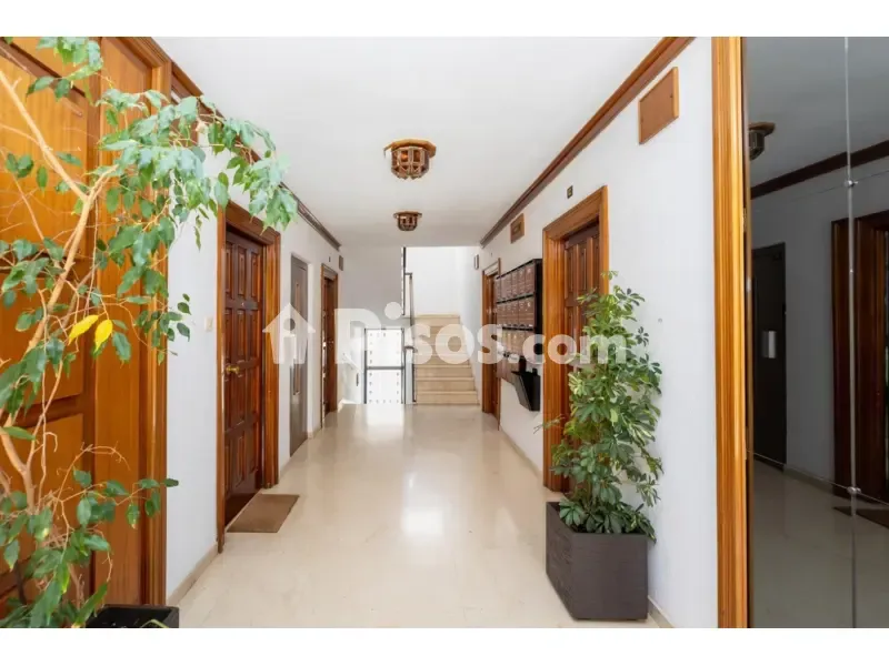 Esik - Student Flat with Balcony in Calle San Pablo