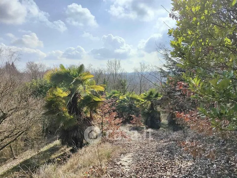 Jardin - Panoramic Villa with Terraces in Villa San Secondo