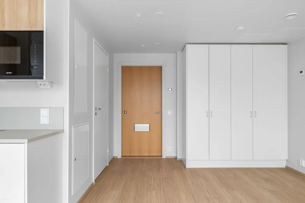 Ingresso - Modern Studio with Green Setting in Postipuisto