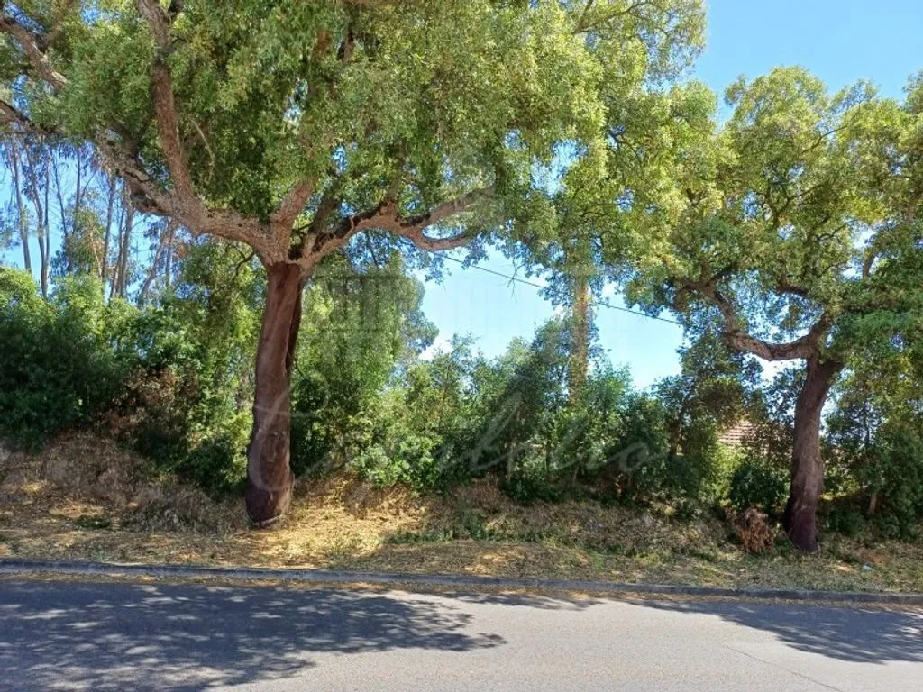 Jardin - Development Opportunity in Santarém City Centre