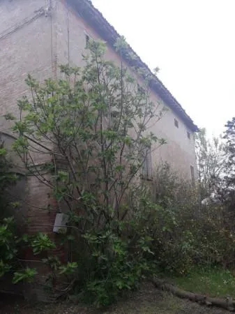 Rustic Property for Renovation in Albinea