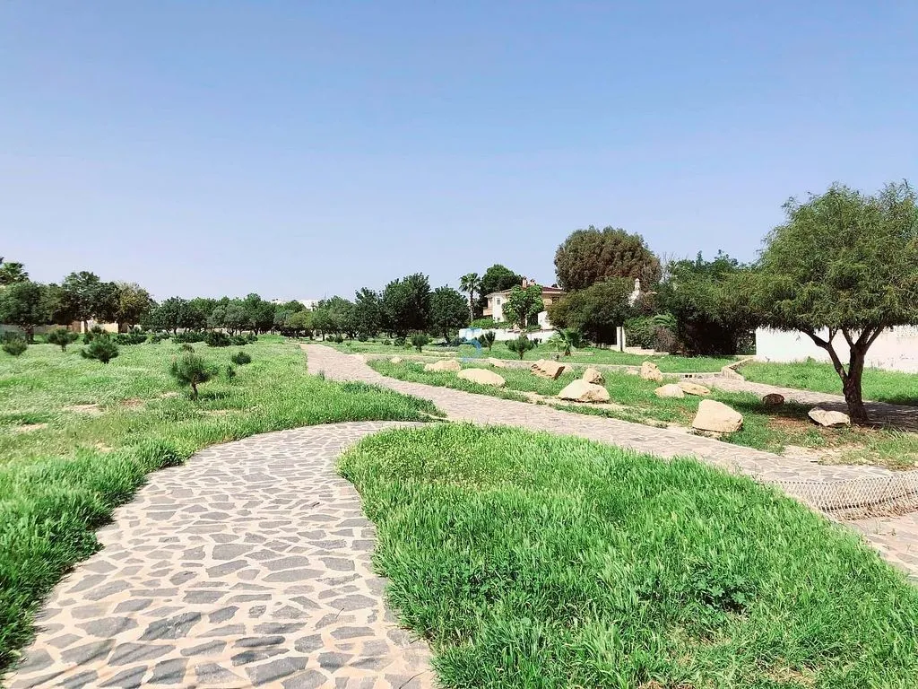 Jardin - Luxury Villa with Pool in Ciudad Quesada