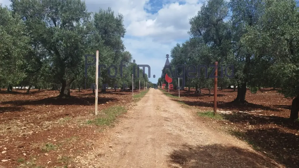 Aed - Rustic Property with Olive Grove in Carovigno