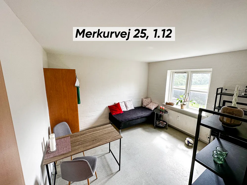 Chambres - 1-Bedroom Flat in Merkurkollegiet, Viborg