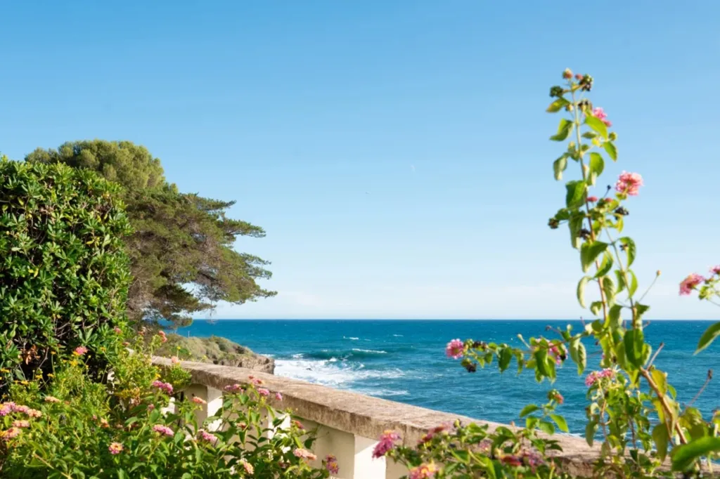 Terrass - Maison with Sea View in Cap-d'Ail