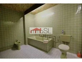 Salles de bain - Maison Individuelle avec Jardin à Diekirch