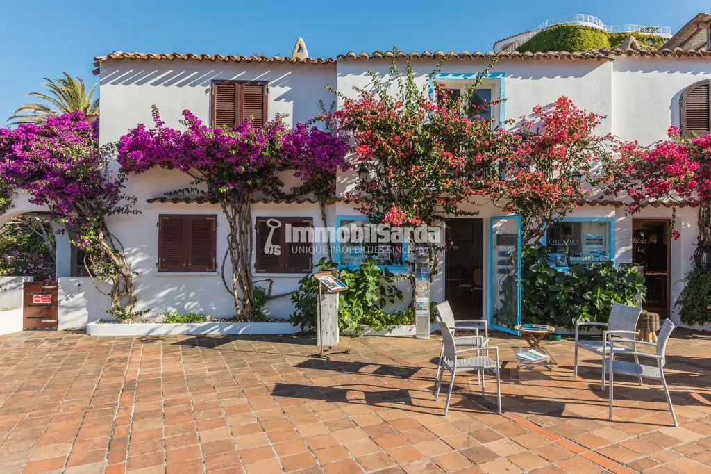 Garden - Beachfront Villa with Pool in Porto Rafael