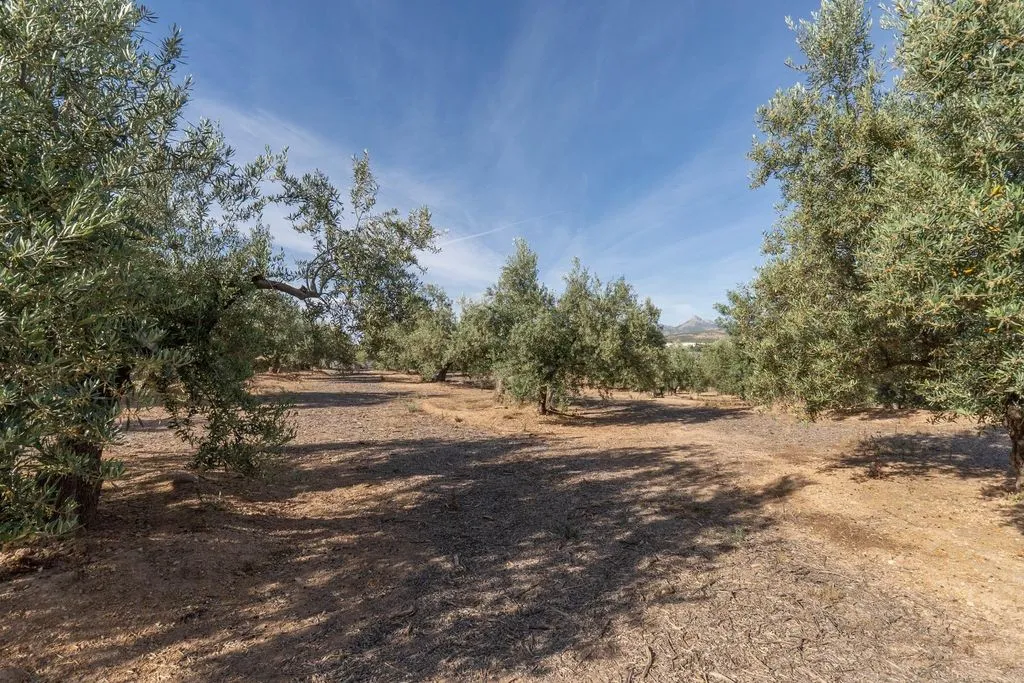 Aed - Buildable Land with Granada Views in Albolote