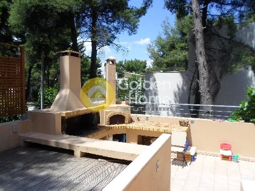Terrass - Detached House with Garden in Drosia - Rhea