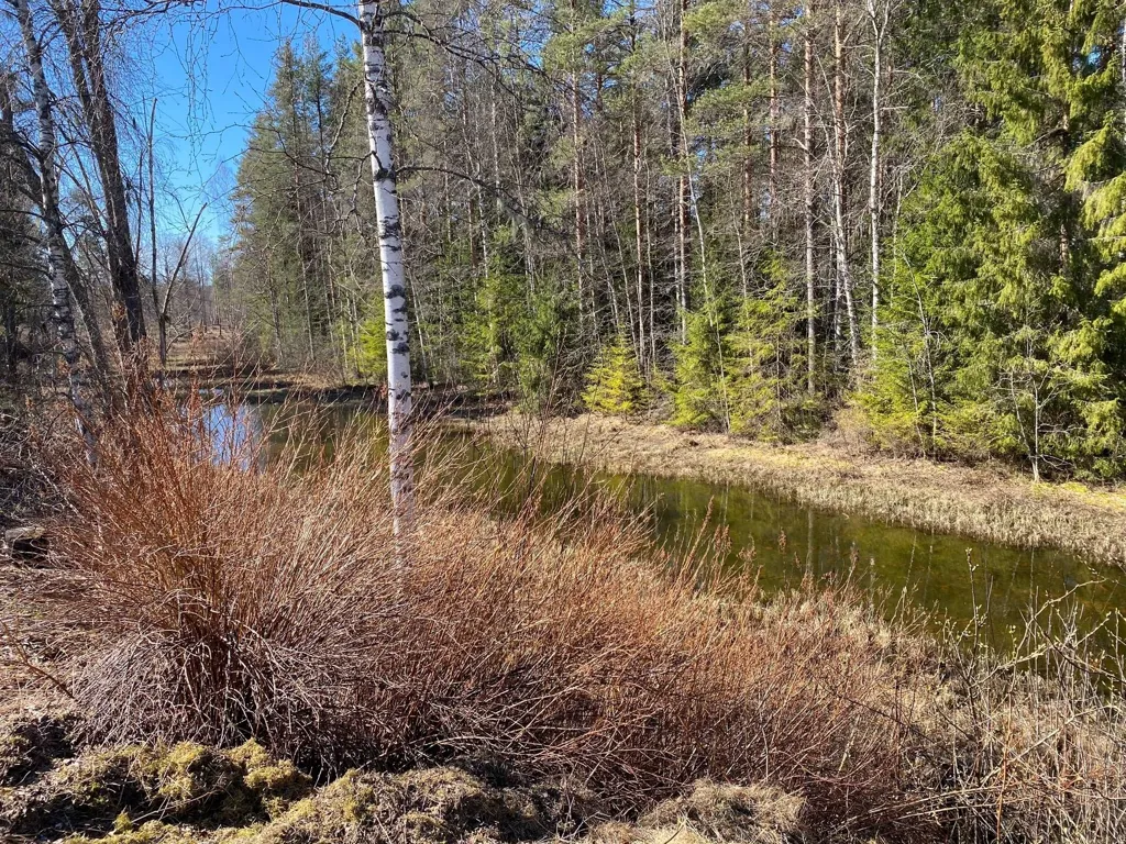 Aed - Charming Villa with Garden in Älvdalen
