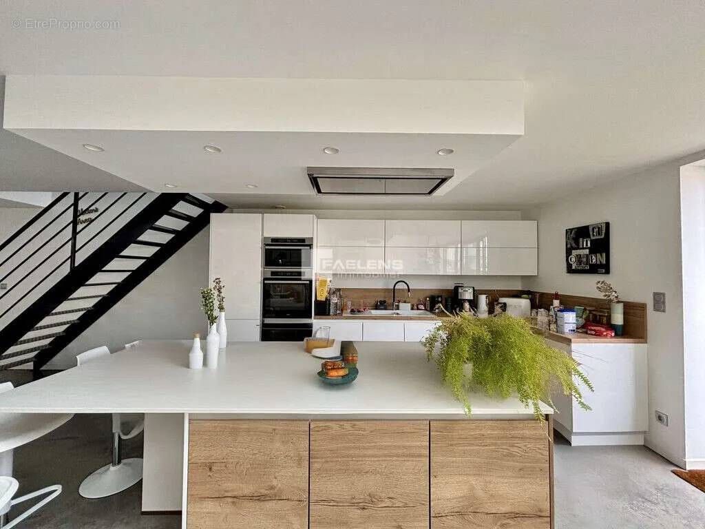 Cuisine - Loft Lumineux avec Terrasse près du Parc à Lille