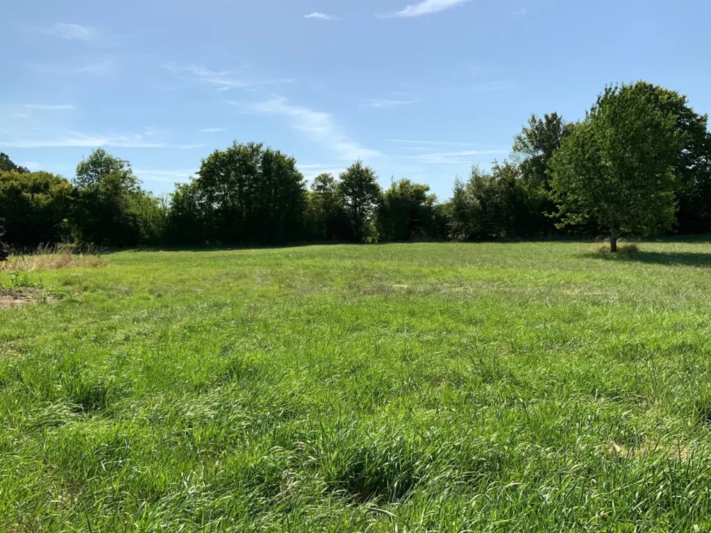 Jardin - Ensemble Immobilier à Rénover avec Dépendances à Saint Sauveur