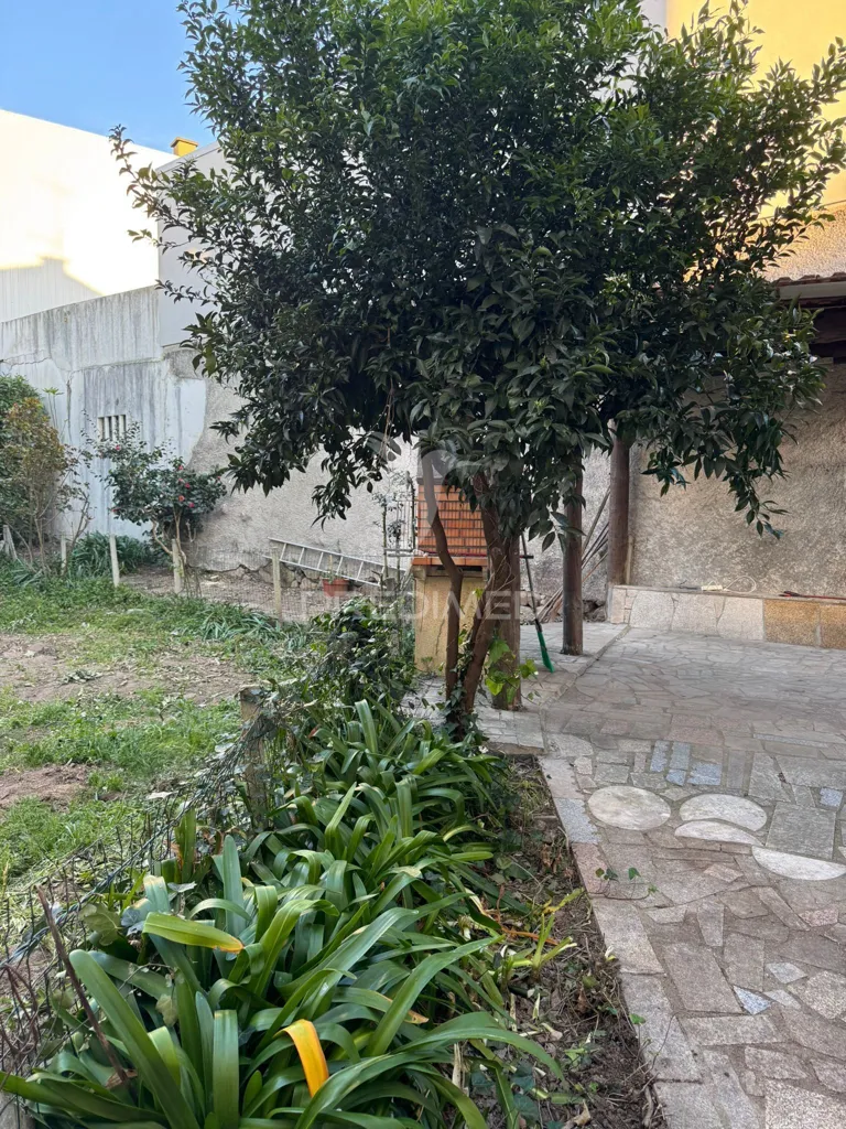 Garden - Apartment with 200m² Terrace in Fafe Centre