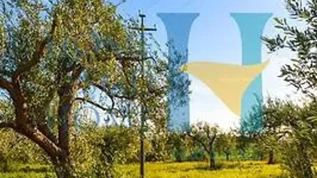 Garden - Villa with Olive Grove in Noto