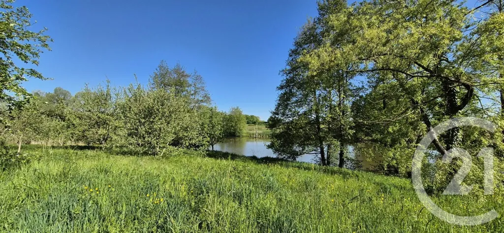 Jardin - Maison de Prestige avec Piscine à Saint-André-en-Bresse