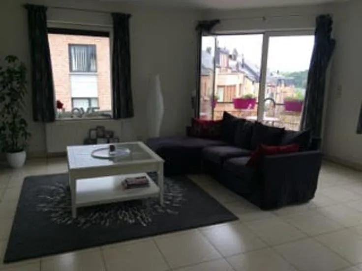 Elutuba - Bright Flat with Terrace in Bruyères, LLN