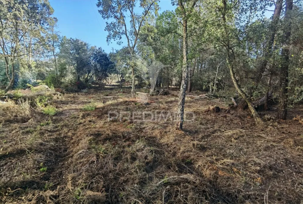 Aed - Urban Plot with Field View in Minde / Alcanena
