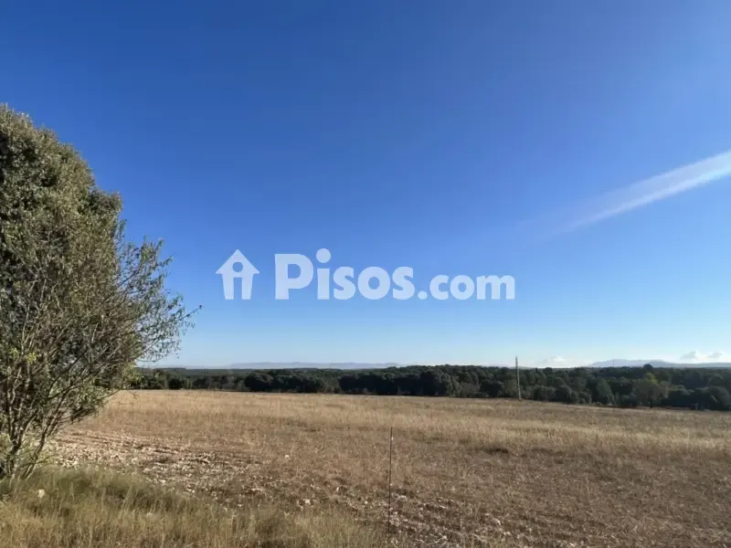 Jardin - Historic Finca with Vineyards in Requena