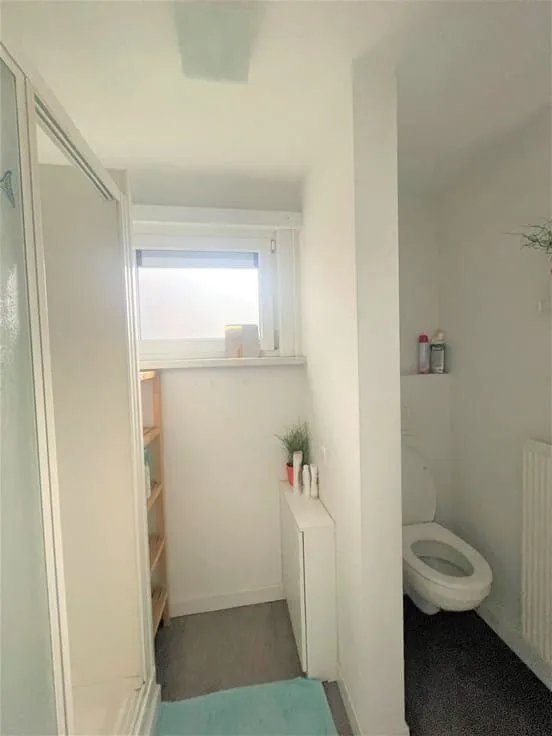Bathrooms - Apartment in Central Antwerp