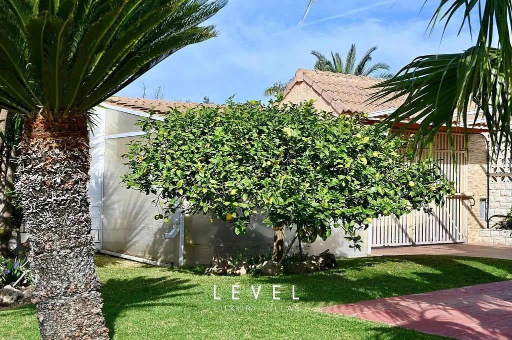 Jardin - Chalet with Pool in San Antonio de Benagéber