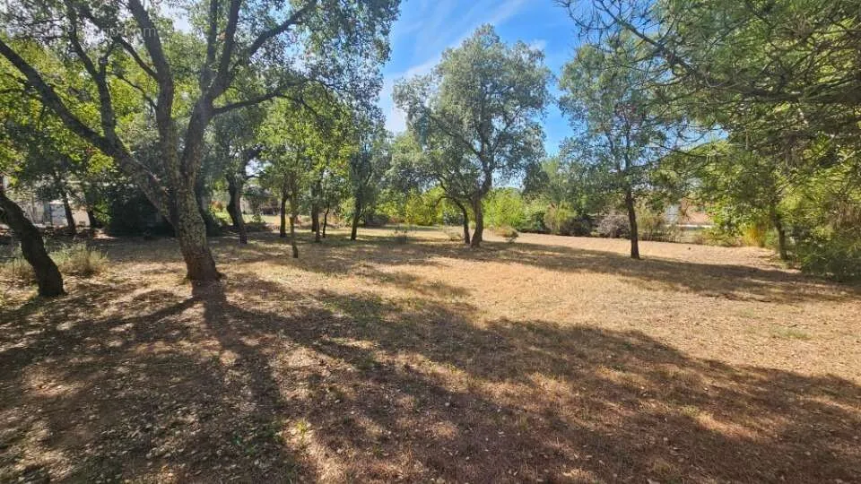 Aed - Buildable Plot with South Exposure in Le Cannet-Des-Maures