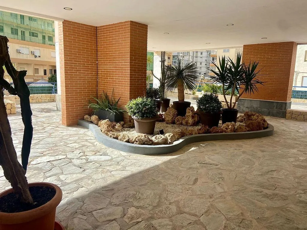 Aed - Spacious Apartment with Sea View in Caleta