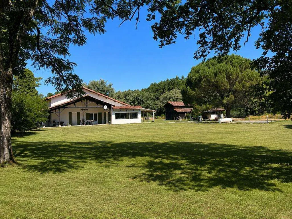 Jardin - Propriété en Pierre avec Piscine et Gîte à Saint-Michel-de-Castelnau