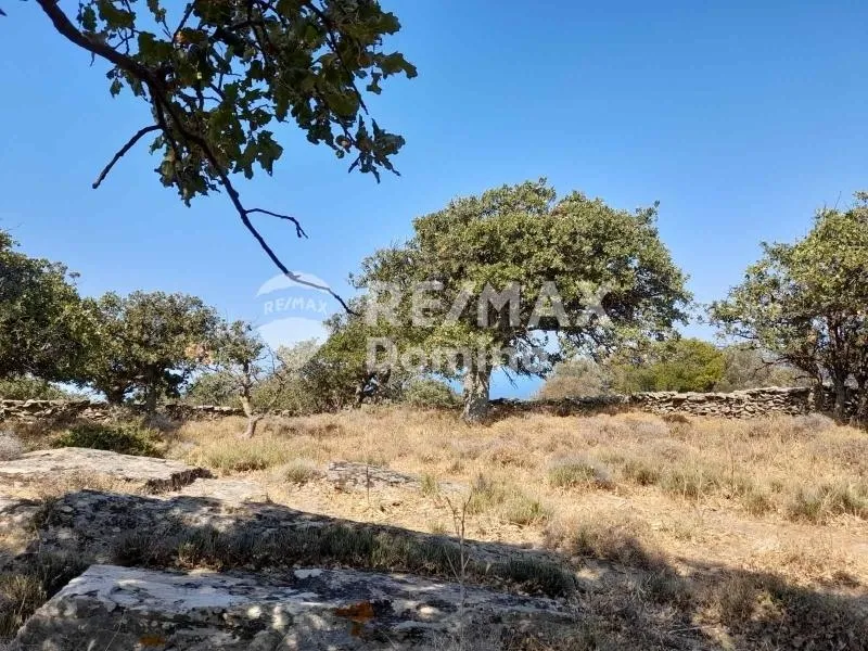Jardin - Farmhouse with Sea View in Perama