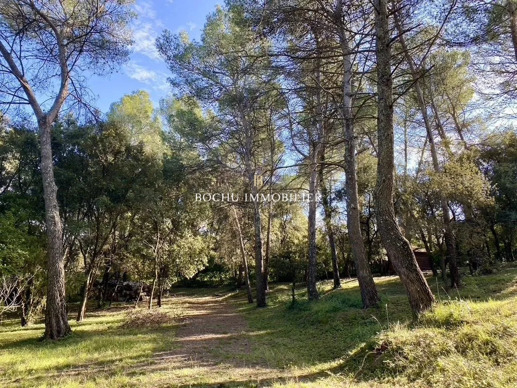 Aed - Architect House with Pool in Pine Forest near Montpellier