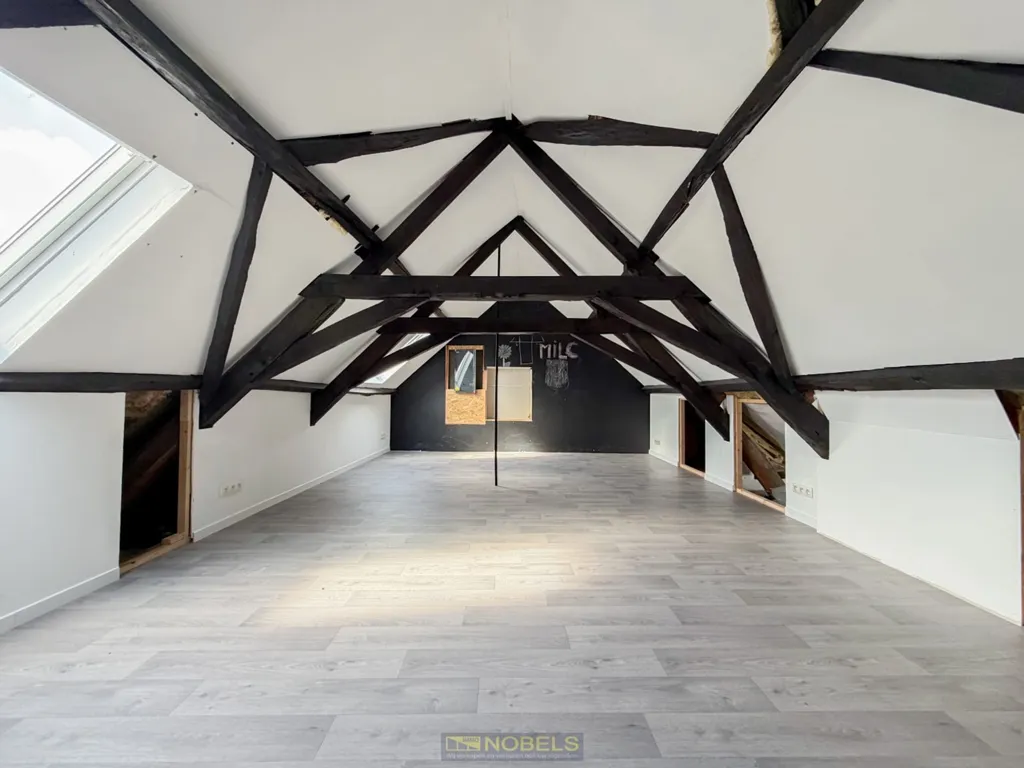 Toad - Half-Open House with Spacious Garden in Sint-Maria-Oudenhove