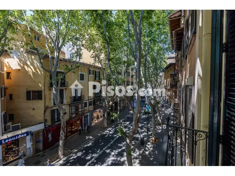 Välivaade - Duplex with Balcony in Palma Centre