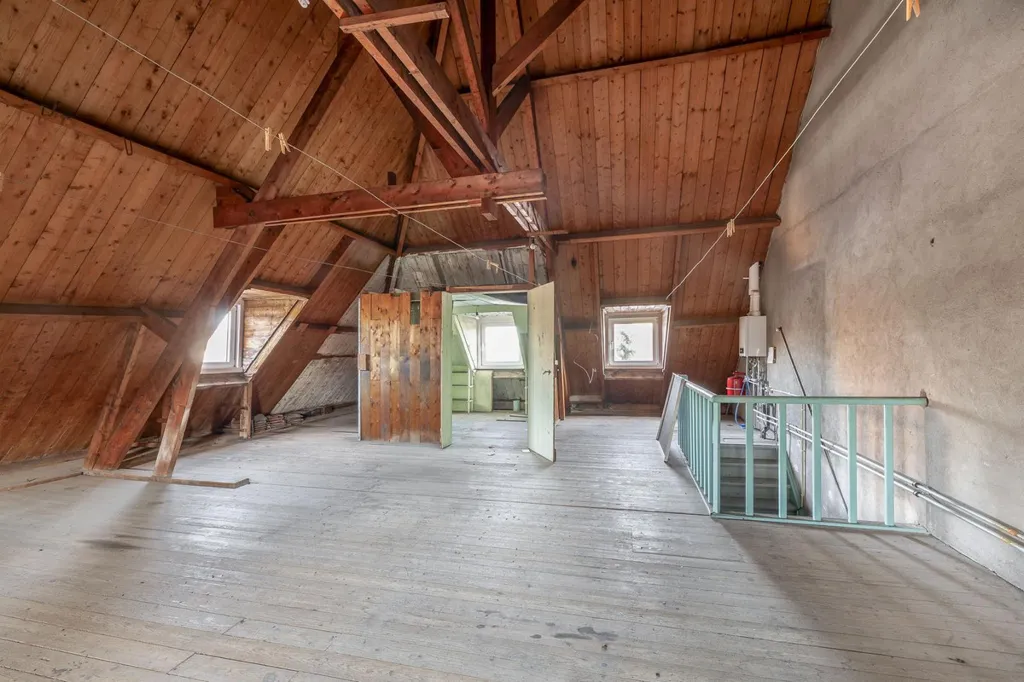 Toad - Spacious Attic Flat with Terrace in Tegelen