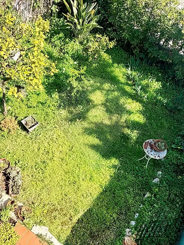 4-room house in Nice